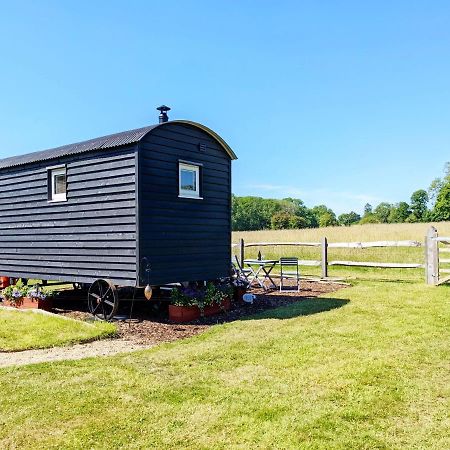 Crabden Shepherd Hut - Blendworth Villa วอเตอร์ลูวิลล์ ภายนอก รูปภาพ