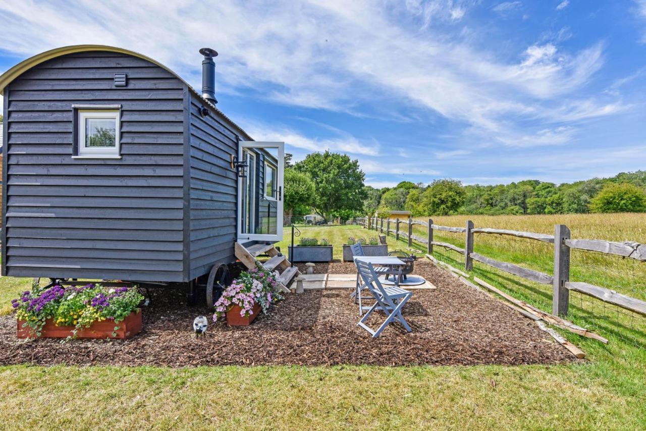Crabden Shepherd Hut - Blendworth Villa วอเตอร์ลูวิลล์ ภายนอก รูปภาพ