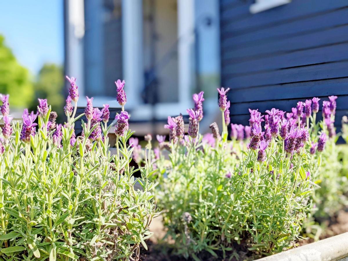 Crabden Shepherd Hut - Blendworth Villa วอเตอร์ลูวิลล์ ภายนอก รูปภาพ